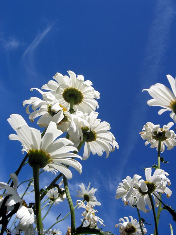 IMAGE: http://i13.photobucket.com/albums/a300/g2a/Holding%20Pattern/pushing.jpg