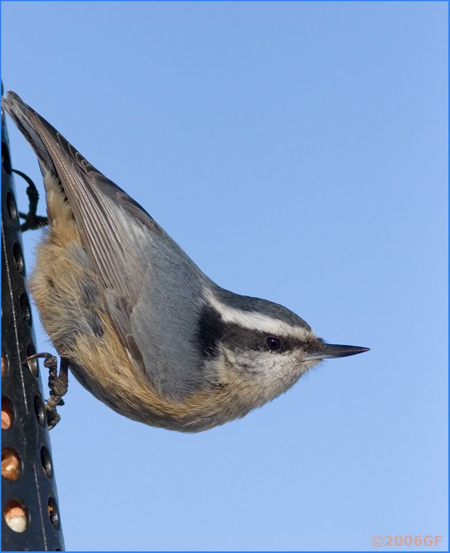 IMAGE: http://i13.photobucket.com/albums/a300/g2a/IMG_5580.jpg