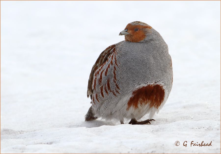 IMAGE: http://i13.photobucket.com/albums/a300/g2a/aloneatlast.jpg