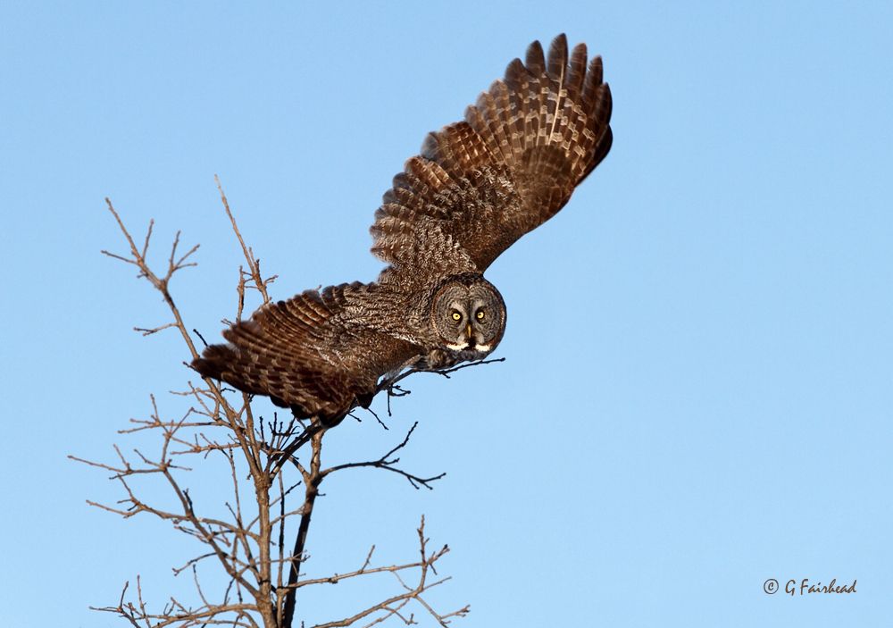 IMAGE: http://i13.photobucket.com/albums/a300/g2a/attack_zps3ba51991.jpg