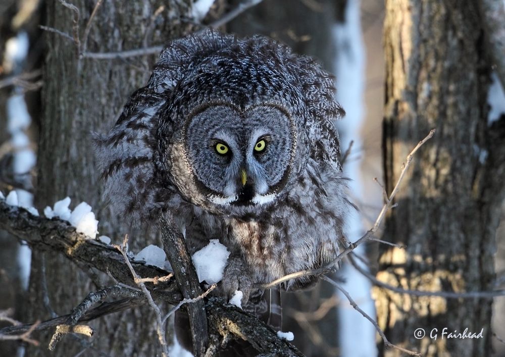 IMAGE: http://i13.photobucket.com/albums/a300/g2a/ballcopy_zps75dbc60f.jpg