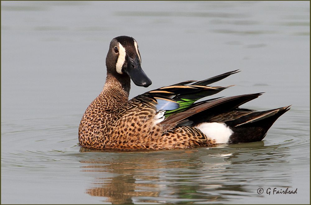 IMAGE: http://i13.photobucket.com/albums/a300/g2a/bwt6copy.jpg