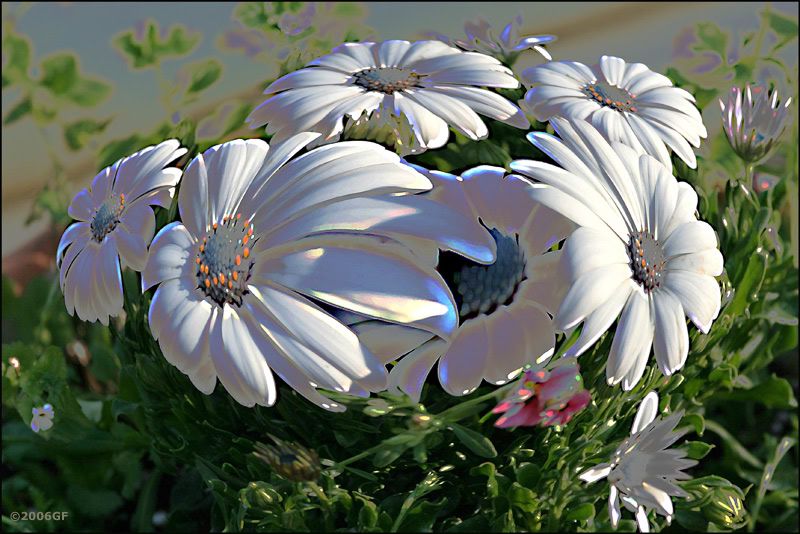 IMAGE: http://i13.photobucket.com/albums/a300/g2a/curvedcolors.jpg