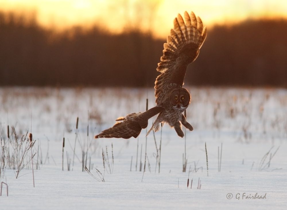 IMAGE: http://i13.photobucket.com/albums/a300/g2a/sunsetttcopy_zpsbd61bef4.jpg