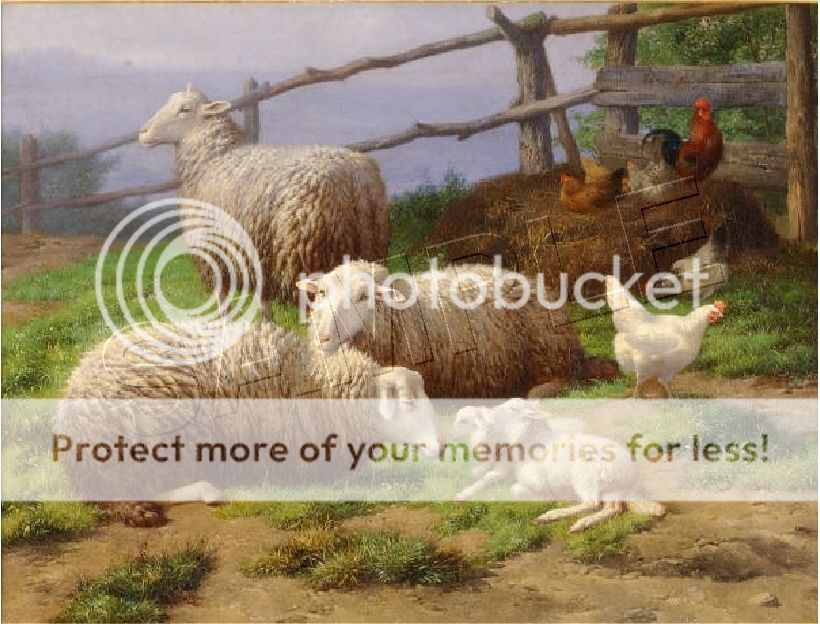 EVENING REST Vintage SHEEP Lamb FARM CANVAS ART   LARGE  