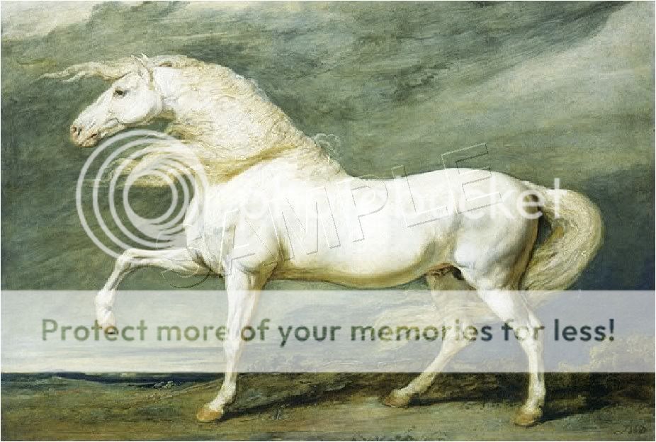 VINTAGE VICTORIAN WHITE HORSE EQUESTRIAN CANVAS ART  