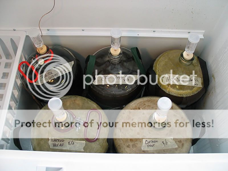 IMAGE(http://i13.photobucket.com/albums/a254/Liquidmantis/brewing/ferment.jpg)