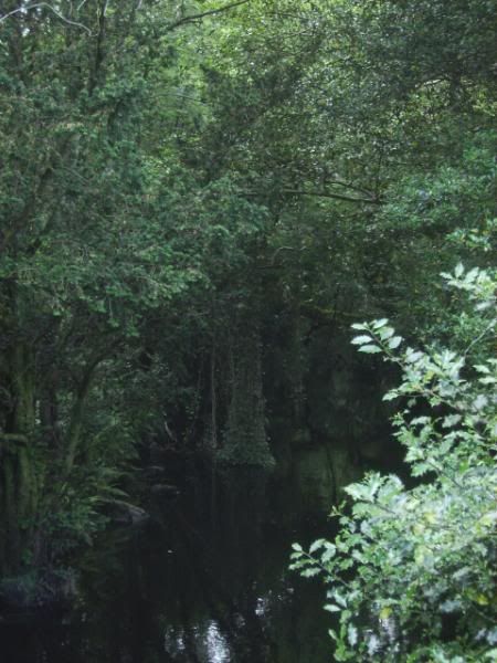 Ireland 2009