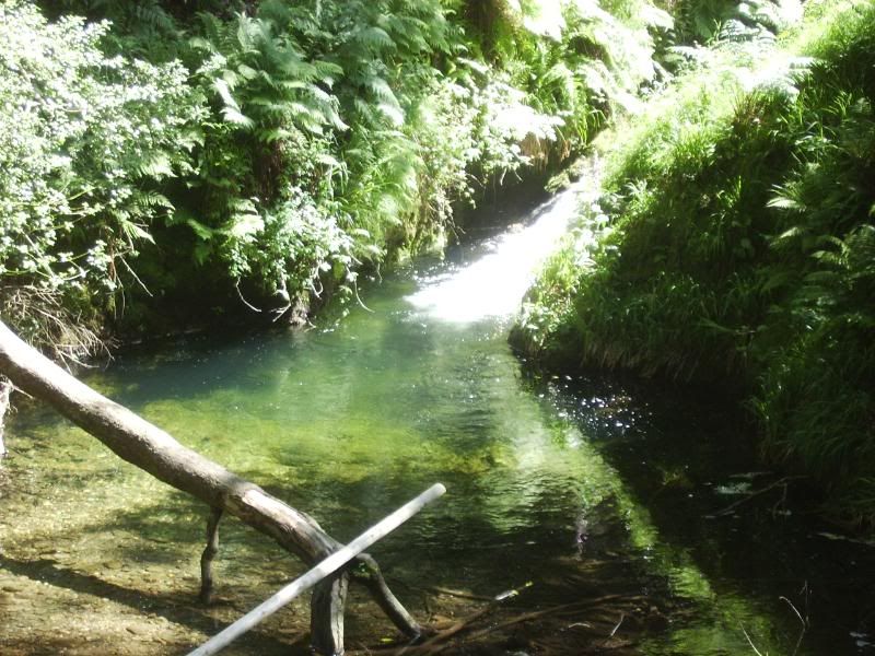 Ireland 2009