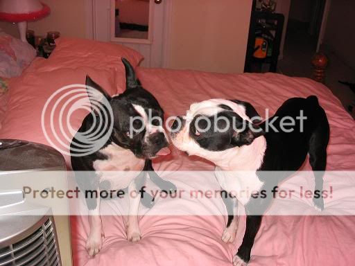 Image hosted by Photobucket.com
