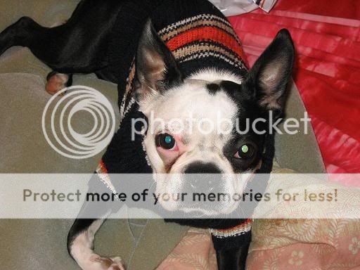 Image hosted by Photobucket.com