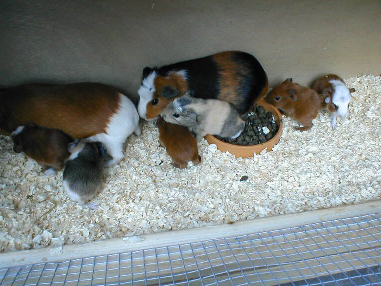 Dinnertime.jpg