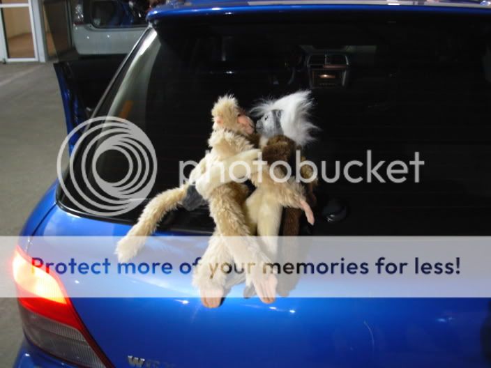 Official Trunk Monkey Thread Page 9 NASIOC