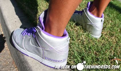 dinosaur jr sb dunks