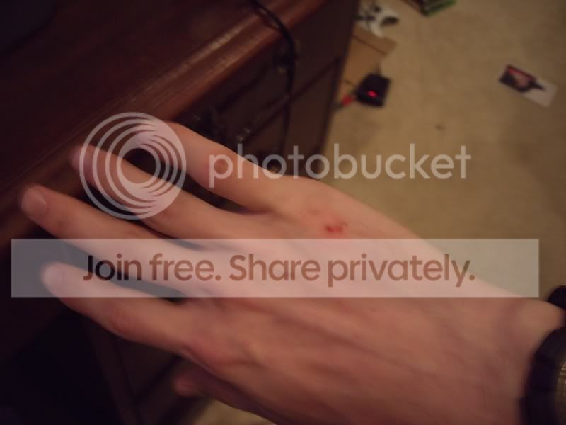 User Image