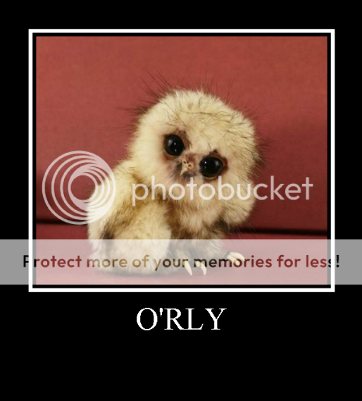 https://i13.photobucket.com/albums/a278/CC-Marley/Other/babyowl-1.png