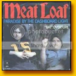 Paradise by the Dashboardlight