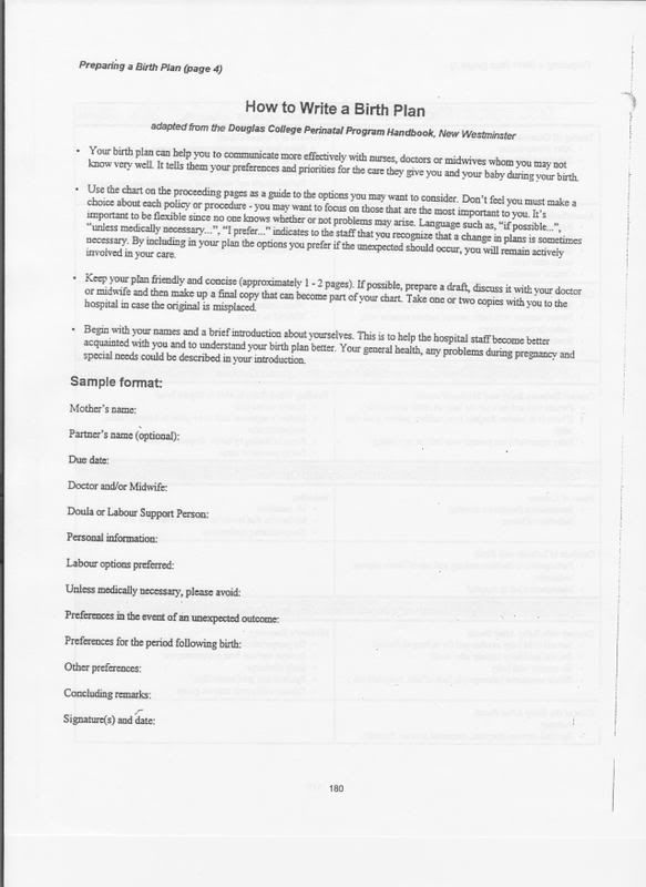 what to write in your birth plan rome fontanacountryinn com birth plan introduction