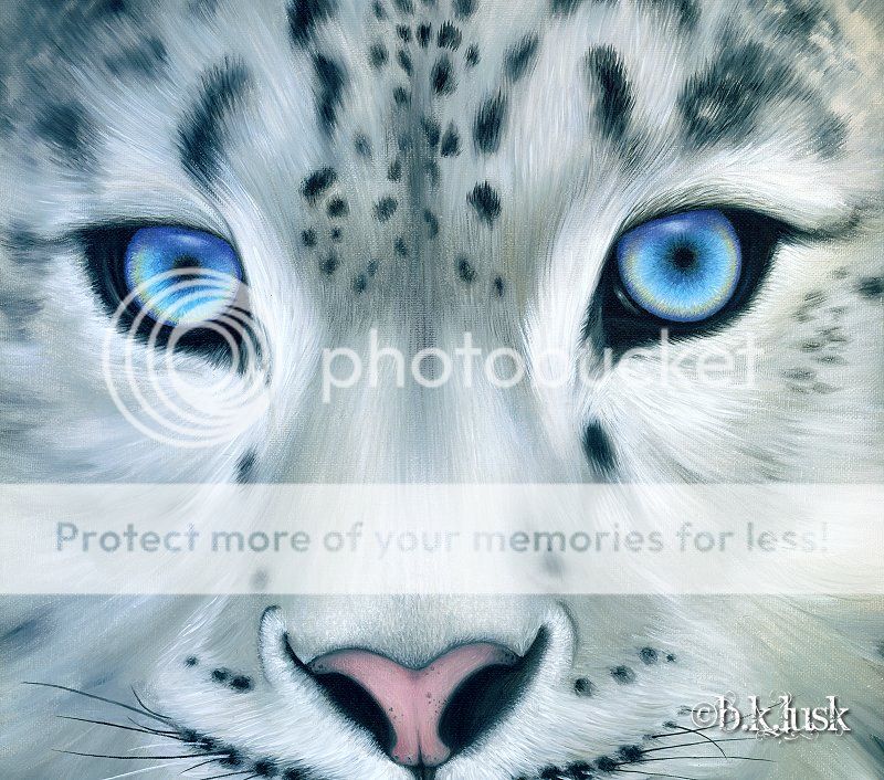   Painting Snow Leopard Big Cat Kitty Animal Blue Eyes Art Lusk