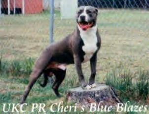 Bluecrpd.bmp