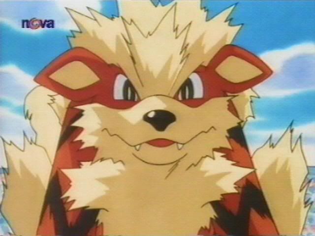 [PokeCommunity.com] The Arcanine ~ Fanclub